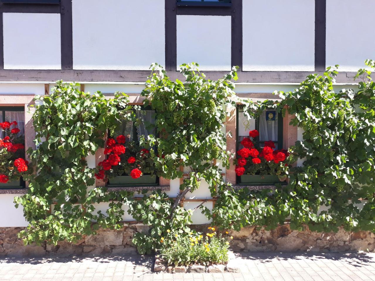 Balancehaus Kohren-Sahlis, Dein Kurhaus In Sachsen Ξενοδοχείο Εξωτερικό φωτογραφία